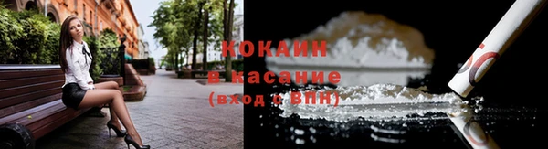 соль ск Алзамай